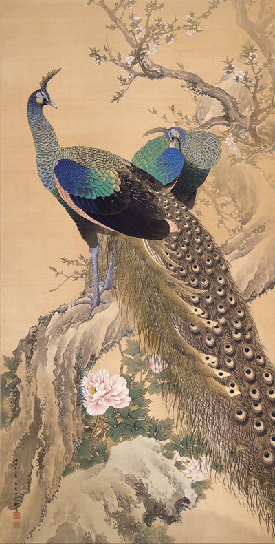 A Pair of Peacocks in Spring by Imao Keinen